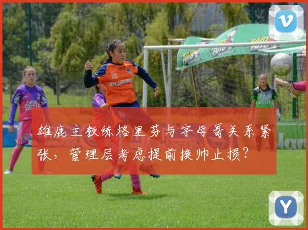雄鹿主教练格里芬与字母哥关系紧张,管理层考虑提前换帅止损?